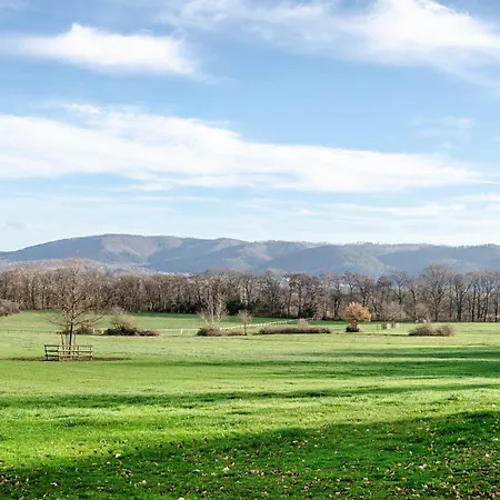 Harzer Lieblingsplatz