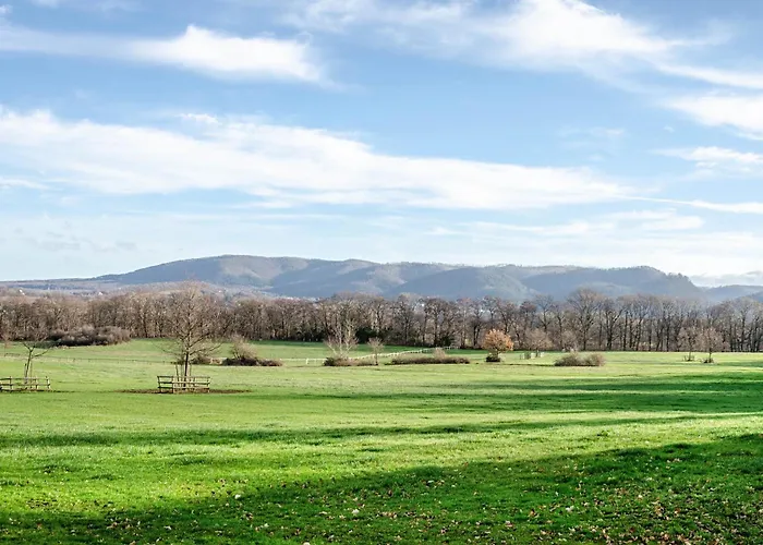 Harzer Lieblingsplatz